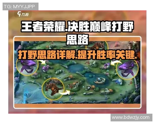 从零起步掌握王者荣耀全英雄全玩法攻略秘籍详解