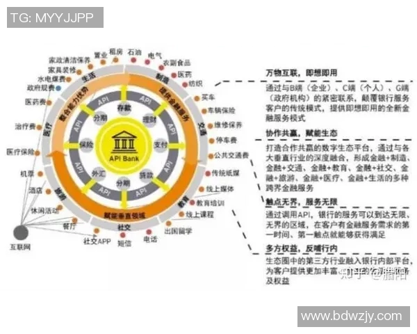 上海羽毛球队转型之路的挑战与机遇全景观察