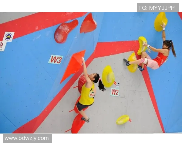 攀岩人生的高峰与低谷陈娜分享她的攀岩故事与心路历程