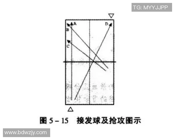 深入分析成都乒乓球队快攻战术的特点与优势