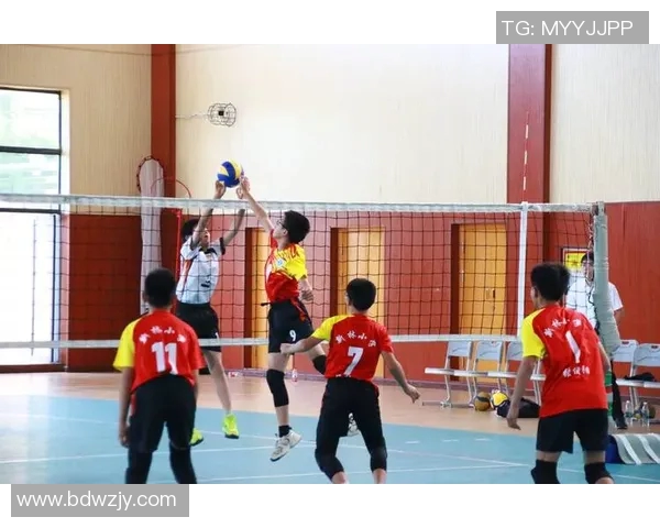 重庆排球队包夹战术解析及其对比赛的影响与启示