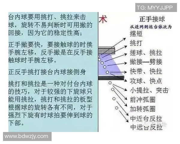 从基础到精通：乒乓球耐力训练全方位指南与实用技巧分享MBA