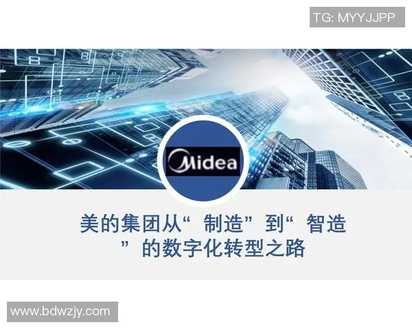 杭州篮球队转型之路：从传统强队到现代化竞技新标杆的深度解析